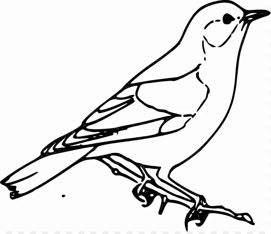 Воробей，птица PNG