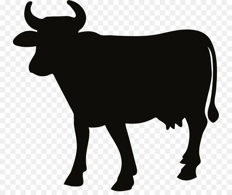 Ангус крупного рогатого скота，силуэт PNG