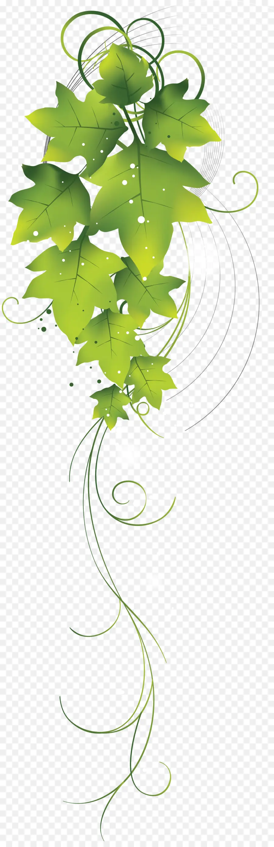 зеленый，рисунок PNG