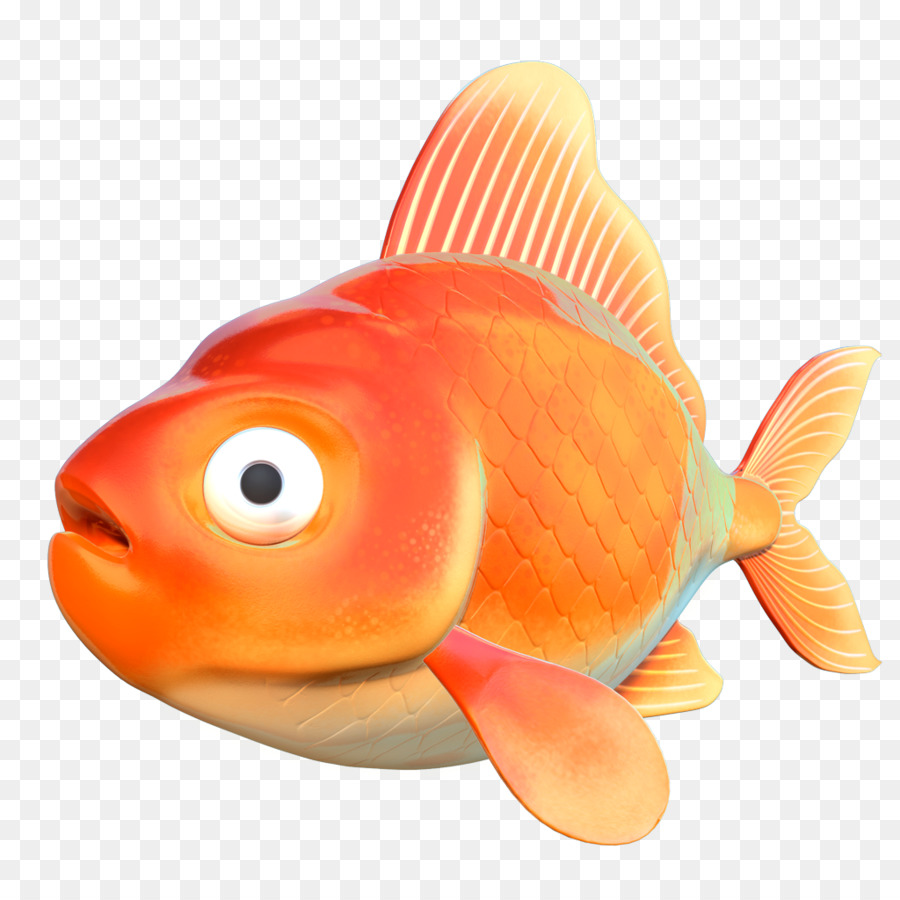 Золотая рыбка，костистых рыб PNG