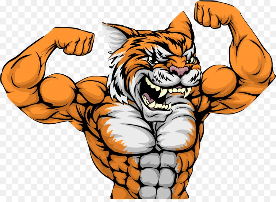 тигр，мышцы PNG