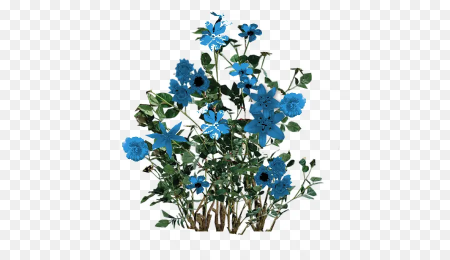 цветок，синий PNG