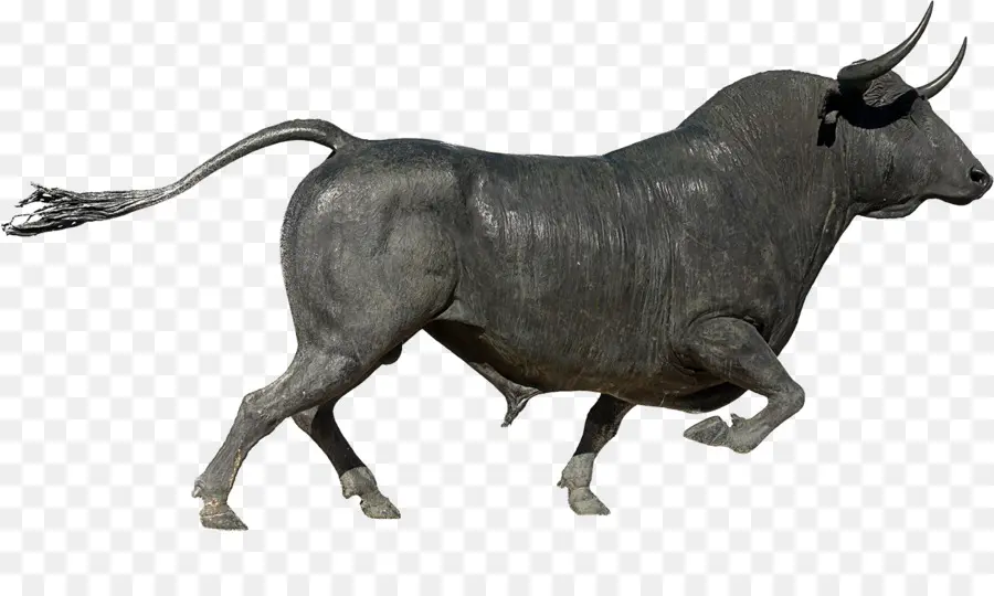 Пласа де Торос де Ронда，испанский боевой бык PNG