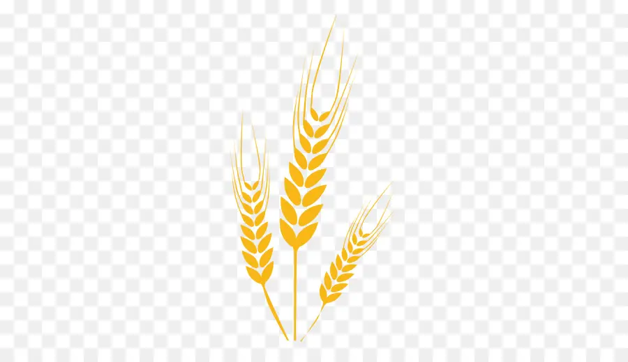 пшеницы，компьютерные иконки PNG