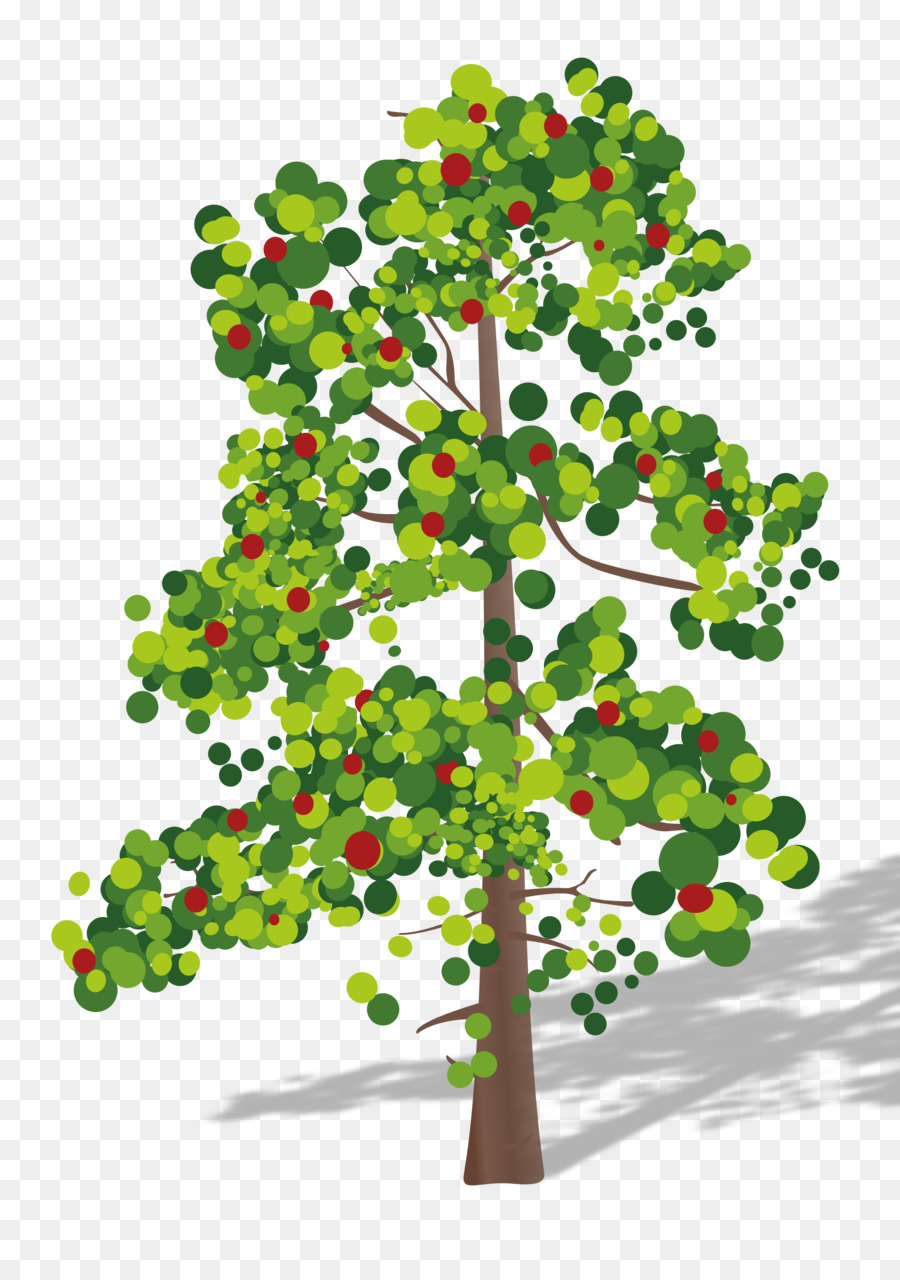 дерево，фрукты PNG