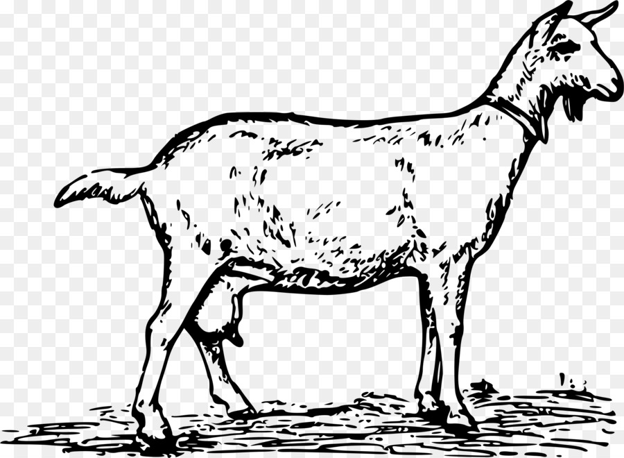 kisspng-the-whole-goat-handbook-recipes-cheese-soap-cr-goat-5abb2e03d6dec7.1477250215222164518801.jpg