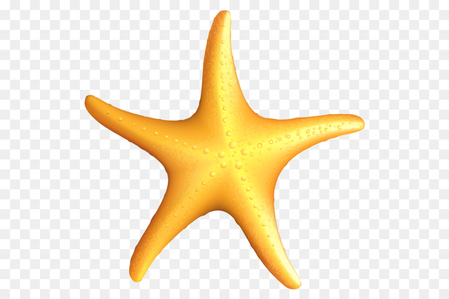 Dibujo de una estrella de mar