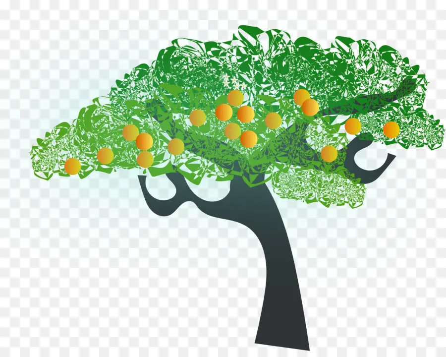 фруктовое дерево，дерево PNG
