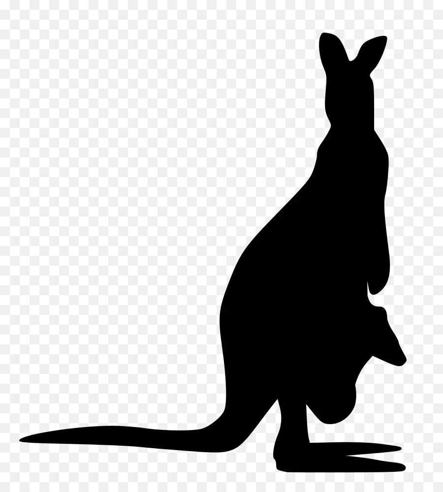 кенгуру，силуэт PNG