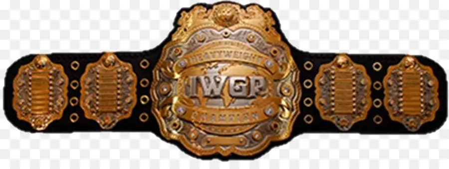 титулы командных чемпионов Iwgp，юношеский чемпионат Iwgp в тяжелом весе PNG