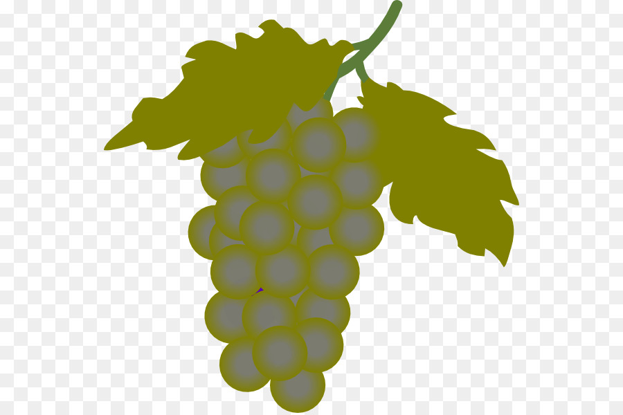 вина，общие винограда PNG