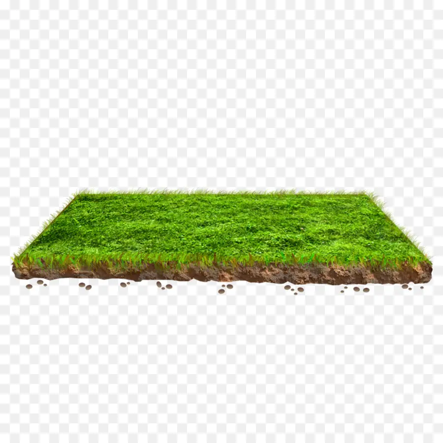 газон，травы PNG