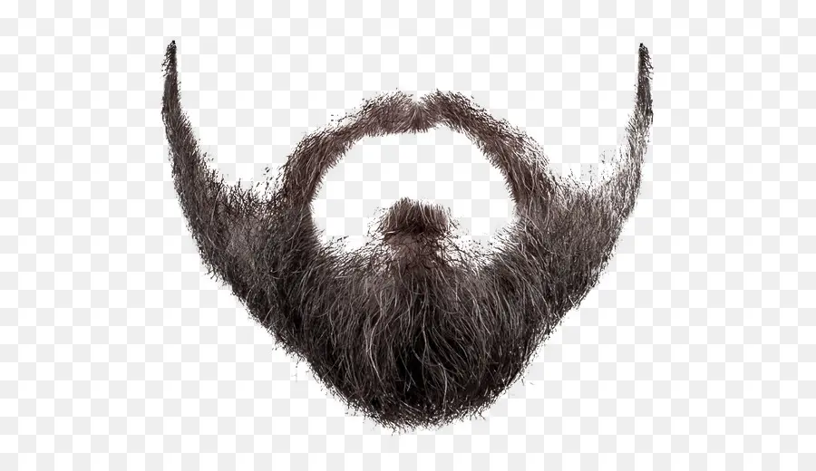 борода，фотография PNG