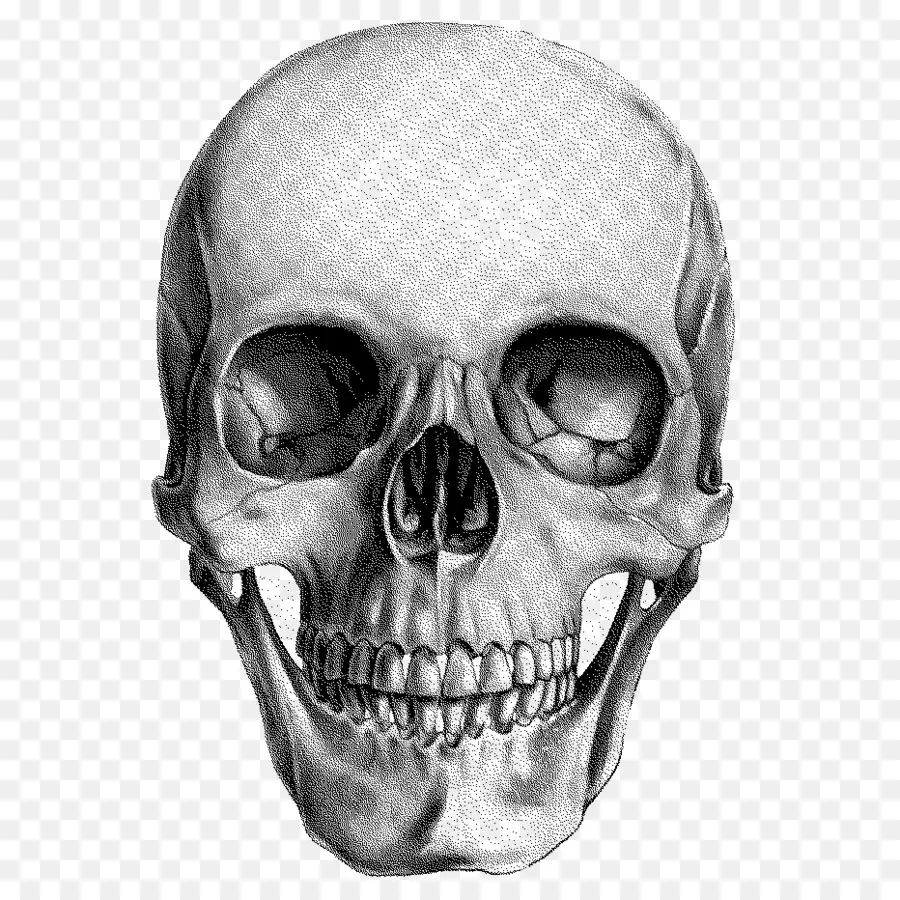 череп，рисунок PNG