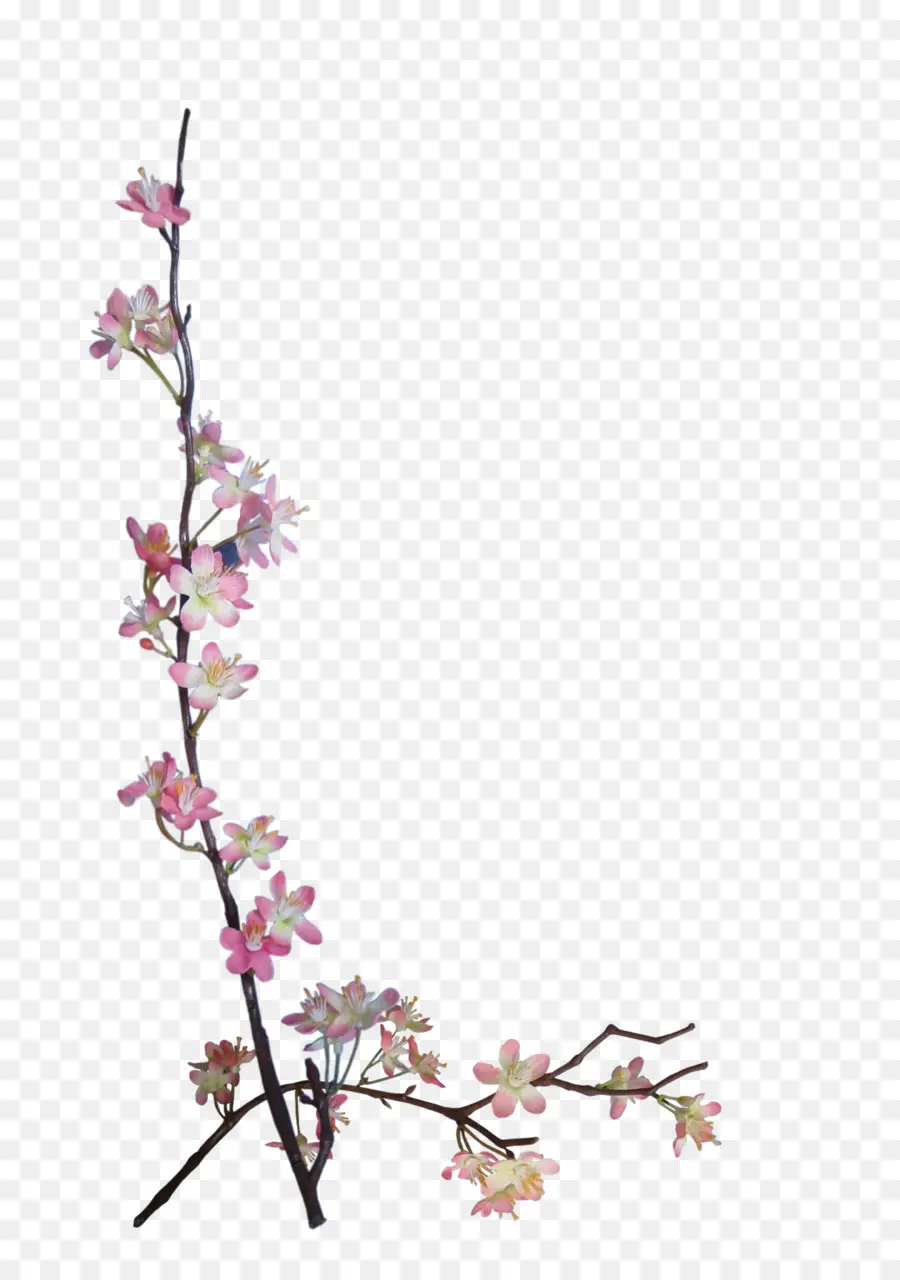 цветок，бумага PNG