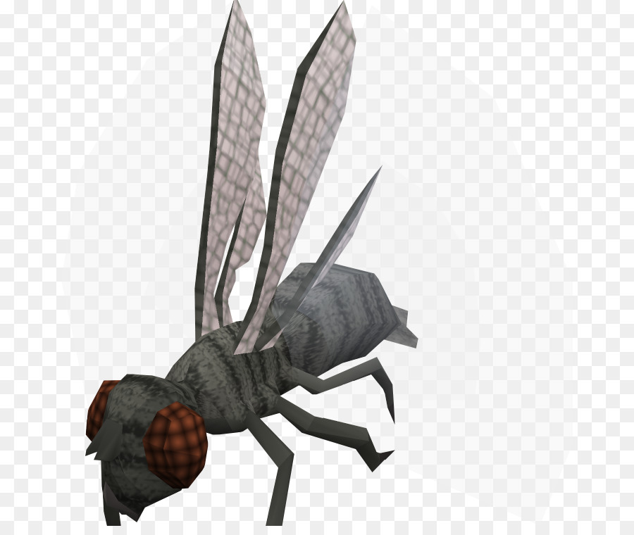 в Runescape，насекомое PNG