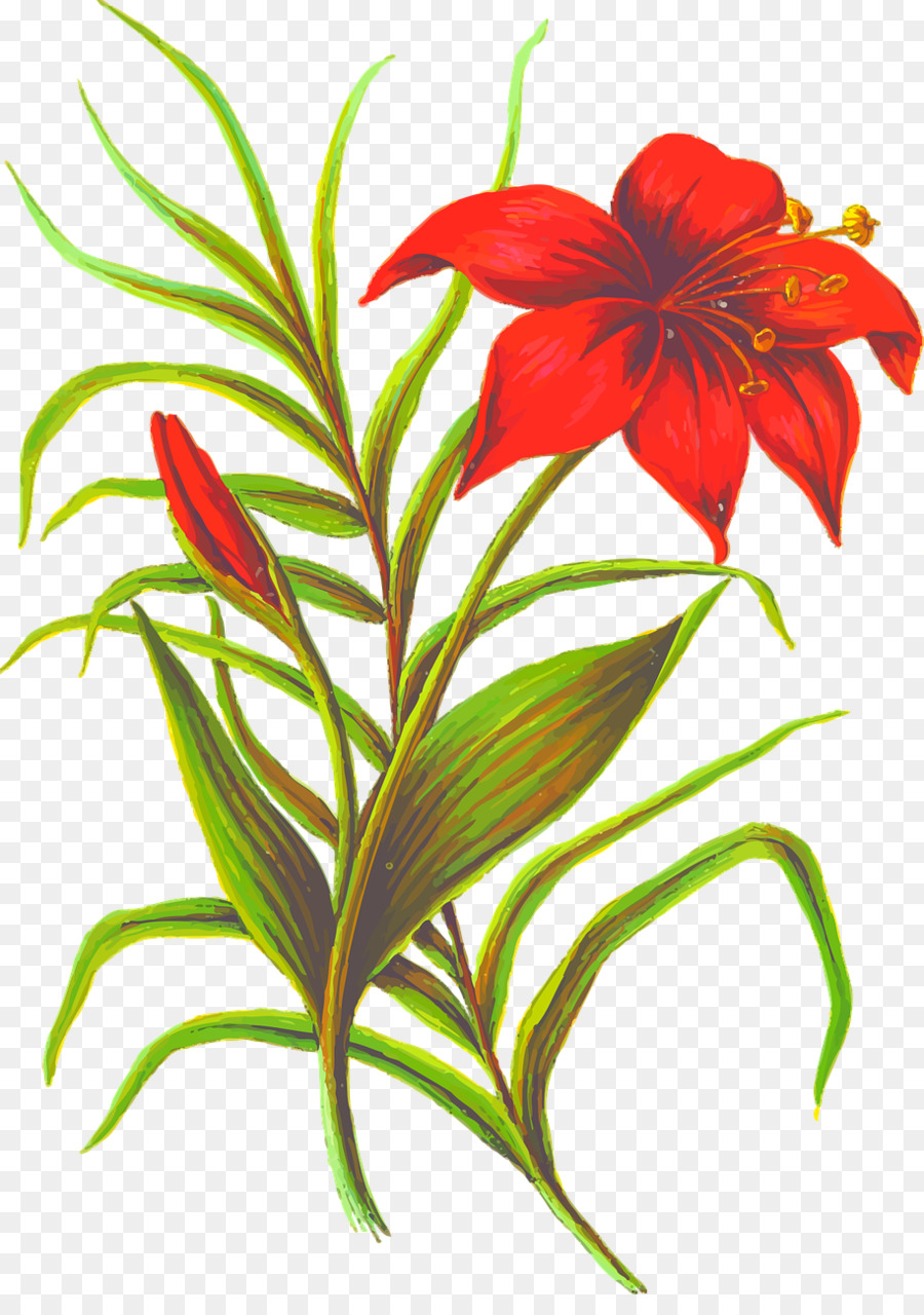 цветок，силуэт PNG