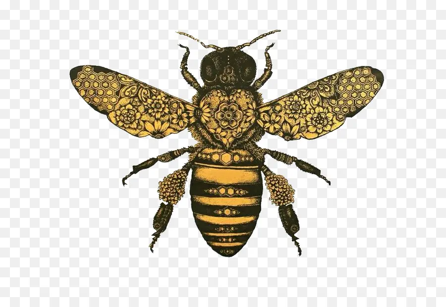 Пчелка，рисунок PNG