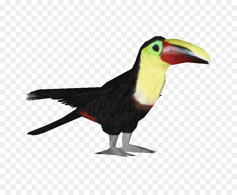 птица，Ramphastos PNG