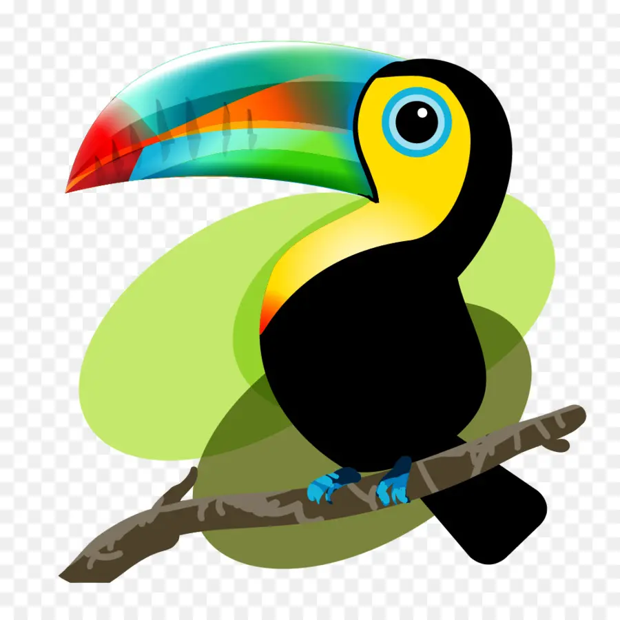 икитос，птица PNG