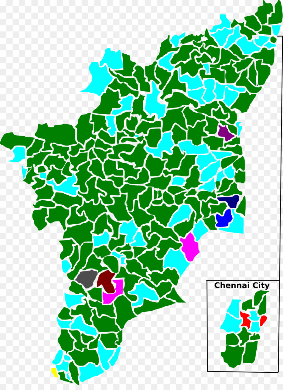 тамилнад，выборов в законодательные Ассамблеи тамил наду 1991 PNG