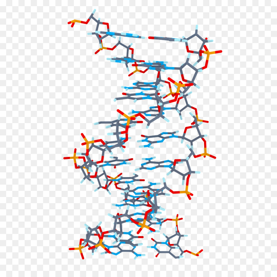 ДНК，расширением Mod_ssl PNG