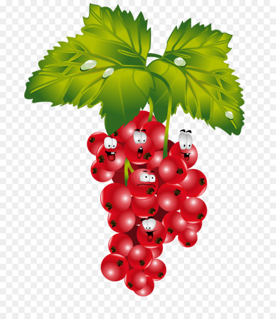 красная смородина，ягодка PNG