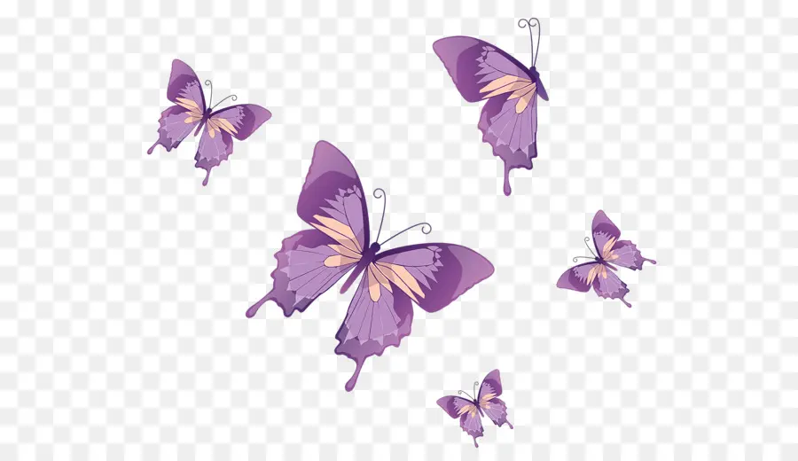 бабочка，бабочка монарх PNG