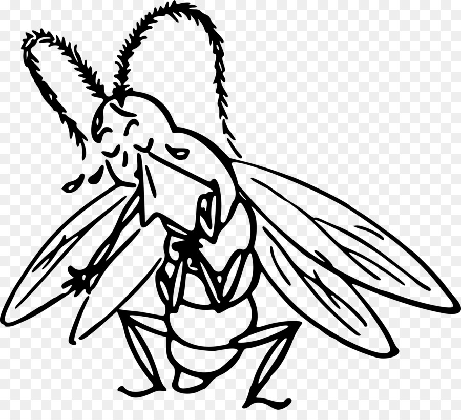 насекомое，мультфильм PNG