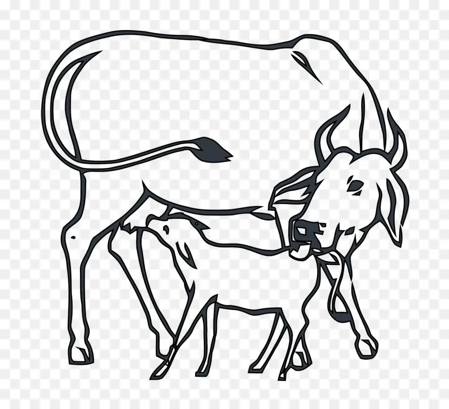 Индия，Брахман крупного рогатого скота PNG