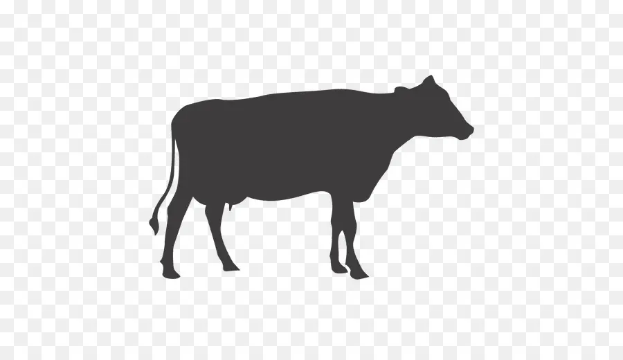 крупный рогатый скот，силуэт PNG