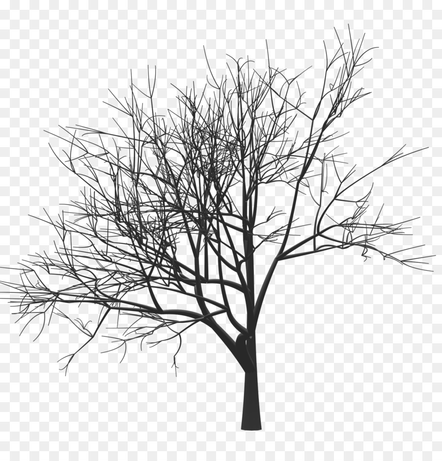дерево，рисунок PNG