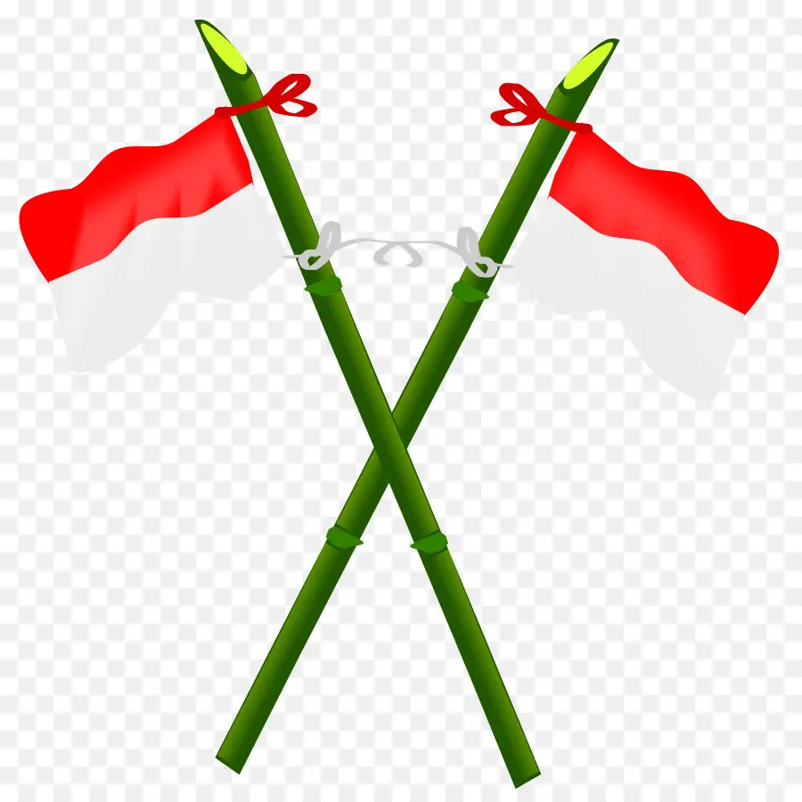 Индонезия，флаг Индонезии PNG