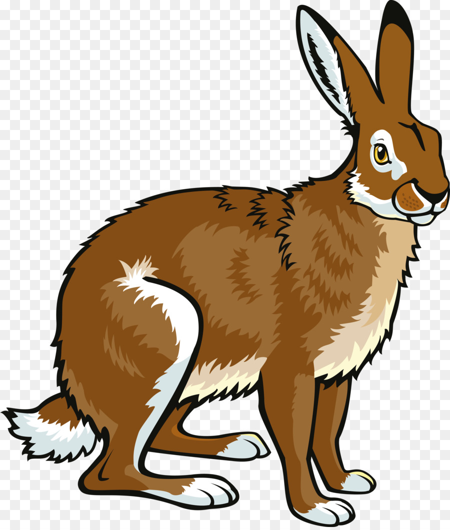 Hare рисунок для детей