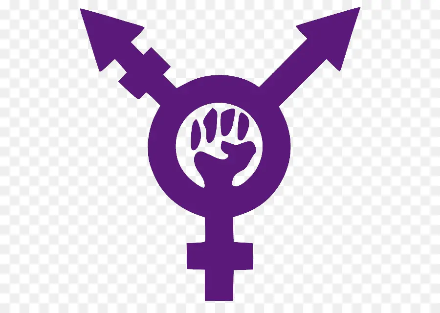 феминизм，Transfeminism PNG
