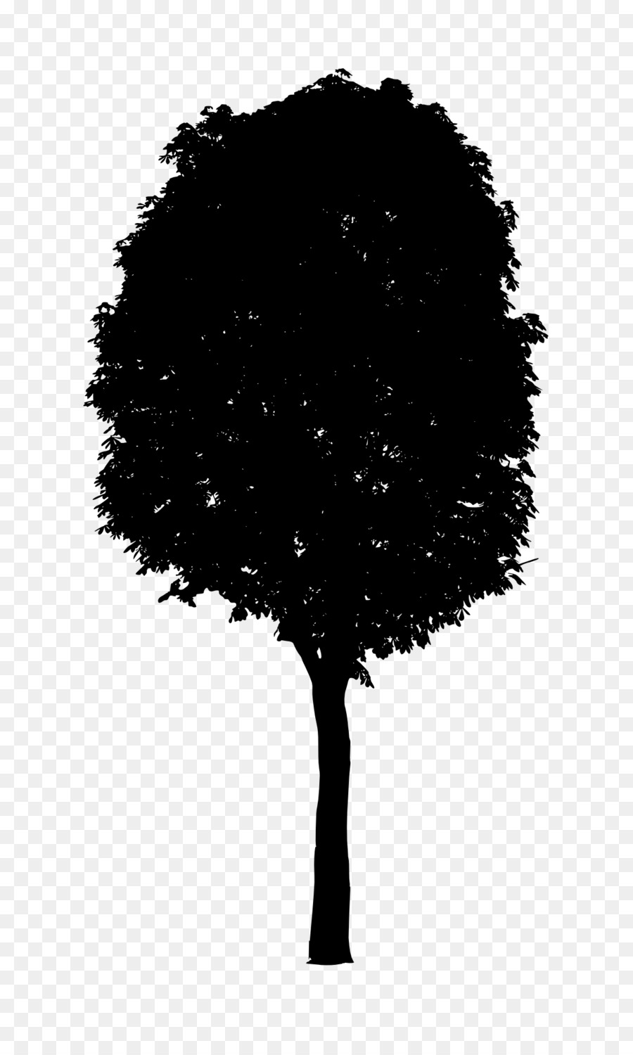дерево，черный и белый PNG
