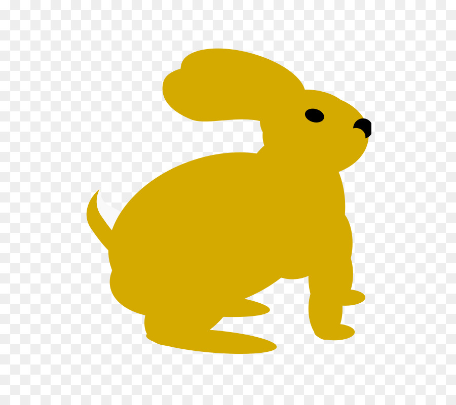 кролик，европейский кролик PNG
