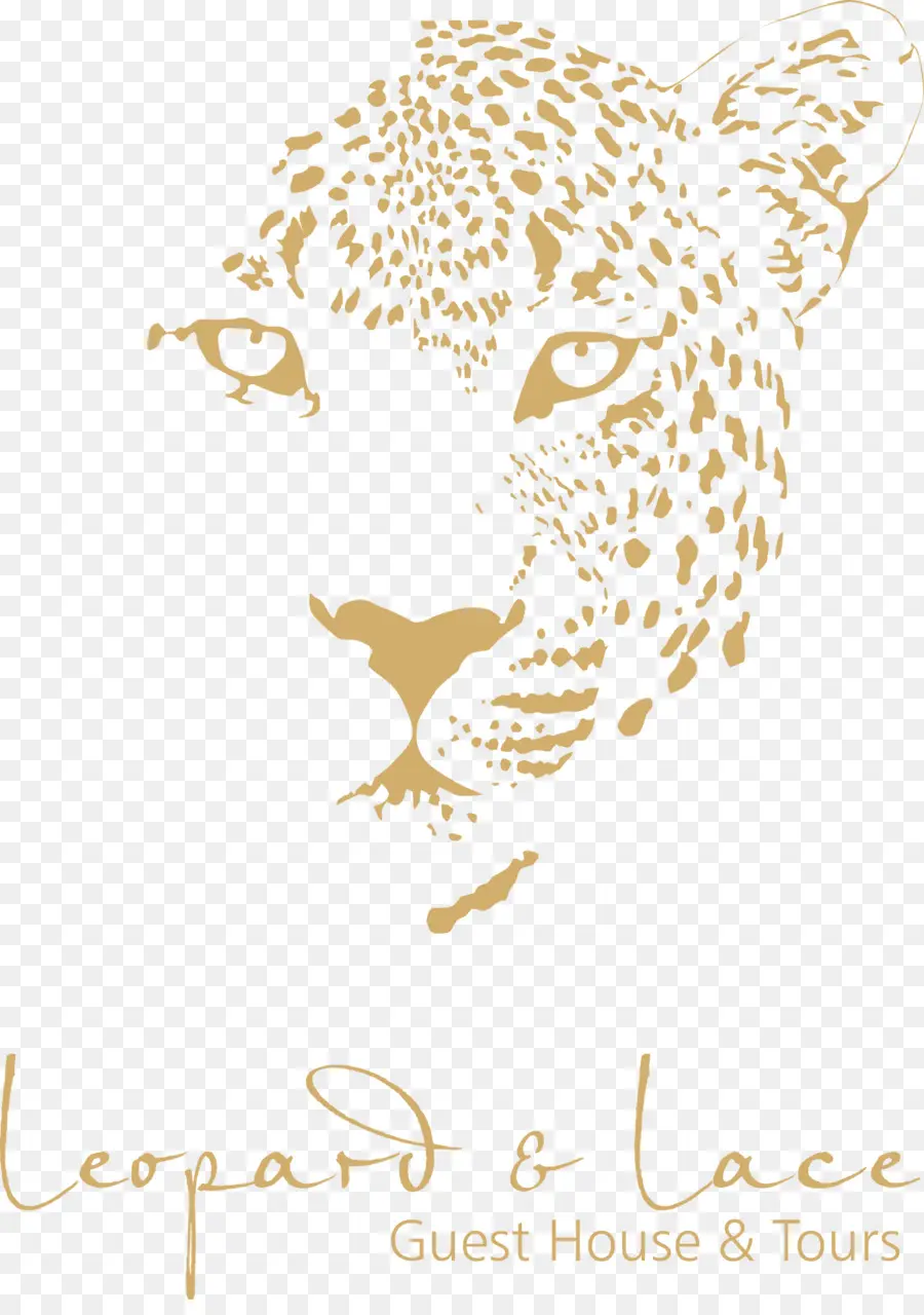 пантанал，леопард PNG