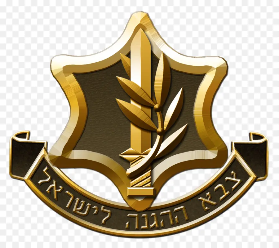 армия обороны Израиля，Израиль PNG