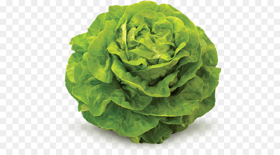 Красная зелень. Leaf Iceberg. Rainbow Chard lettuce PNG.