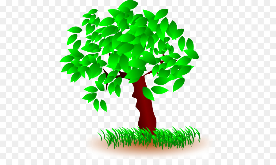 дерево，компьютерные иконки PNG