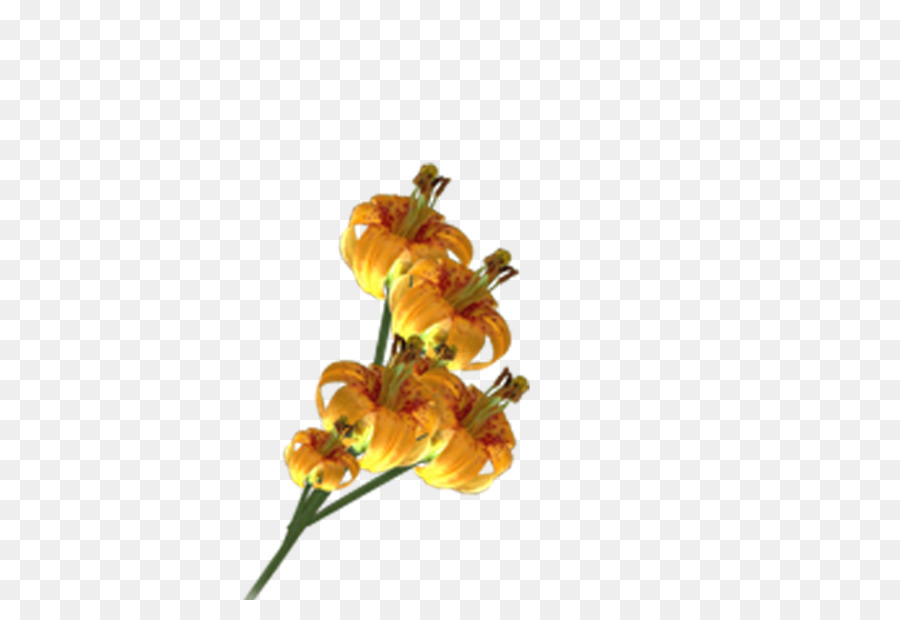 цветок，срезанные цветы PNG