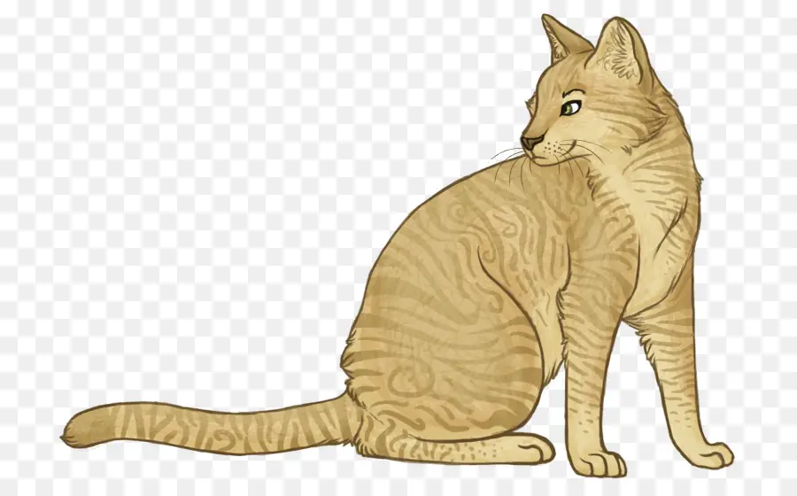 Сидящий кот，кошачий PNG