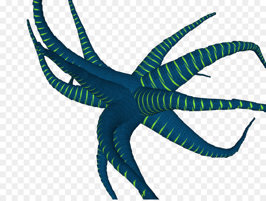 осьминог，беспозвоночных PNG