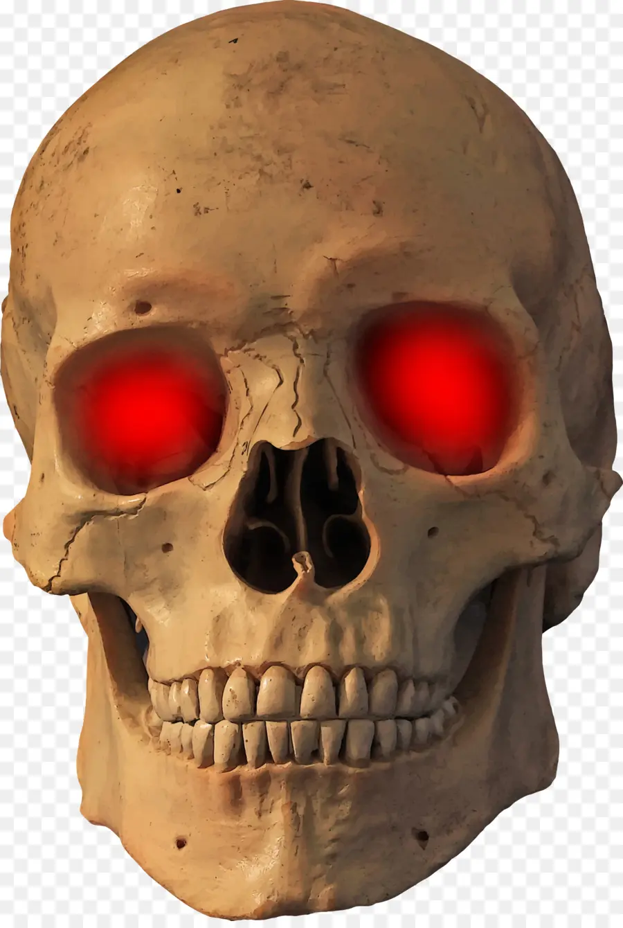 Skull，Skeleton PNG