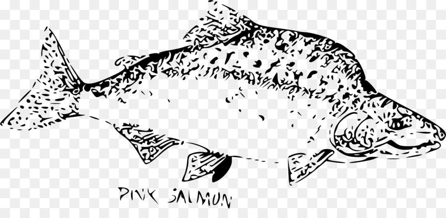 розовый лосось，кета PNG