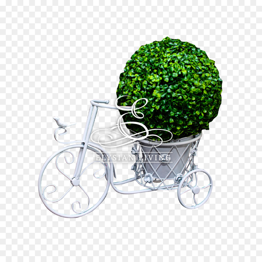 велосипед，автомобиль PNG