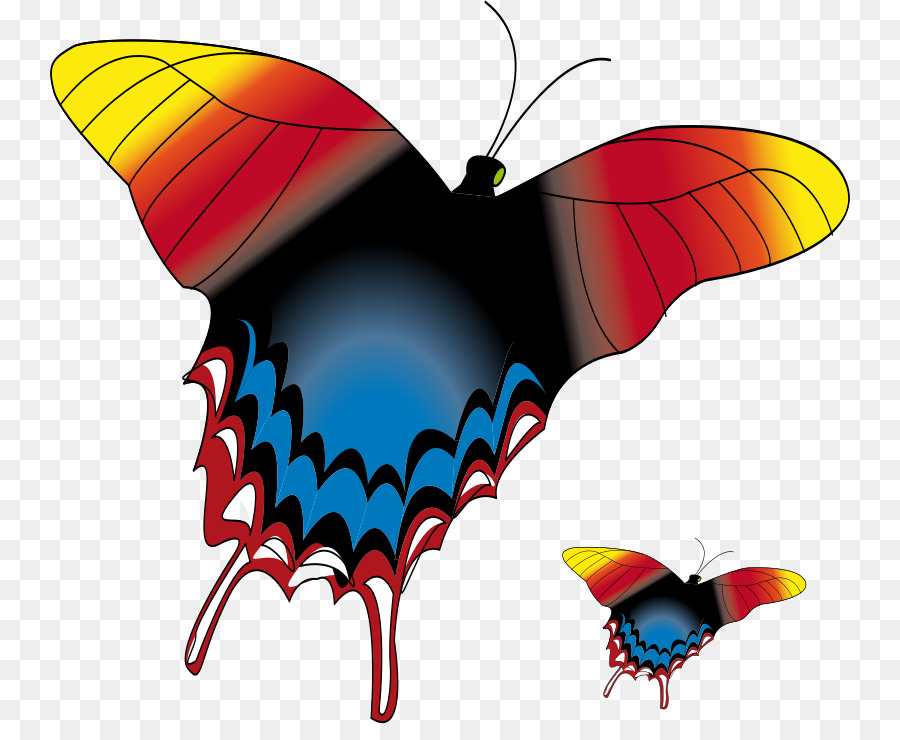 бабочка，компьютерные иконки PNG