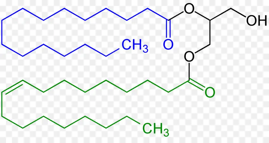моно и диглицериды жирных кислот，диглицерида PNG