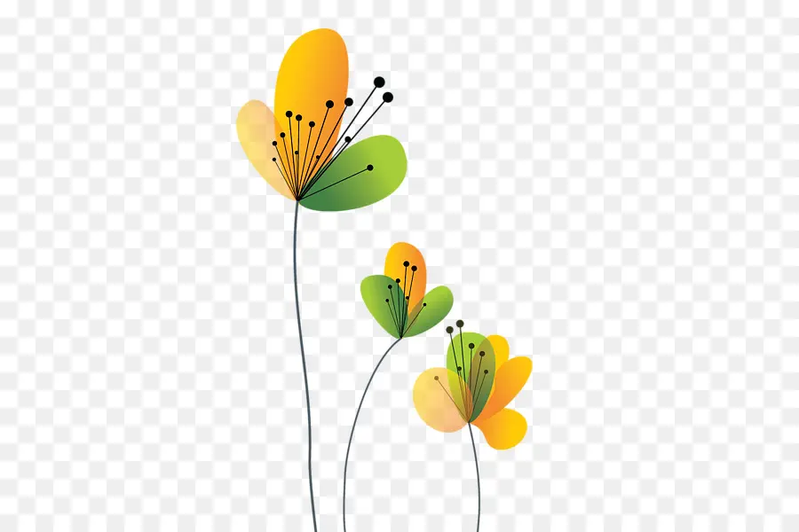 цветок，бабочка PNG